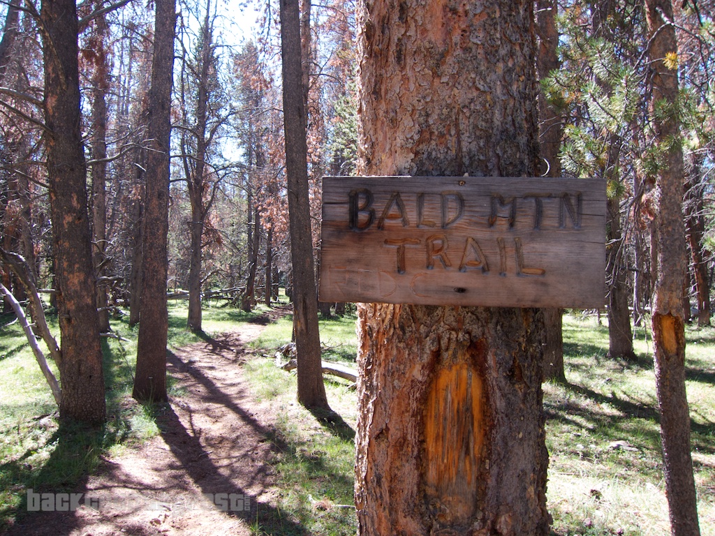 Uintas Bald Mountain Trail Sign
