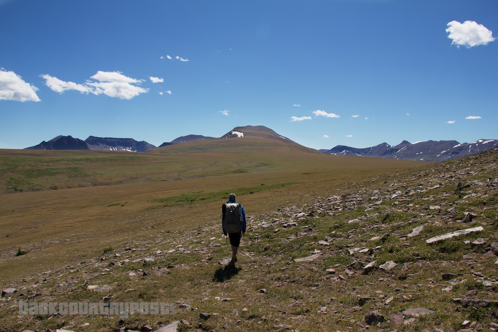 Hiker in Uintas tundra