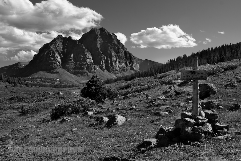 Red Castle in Black and White