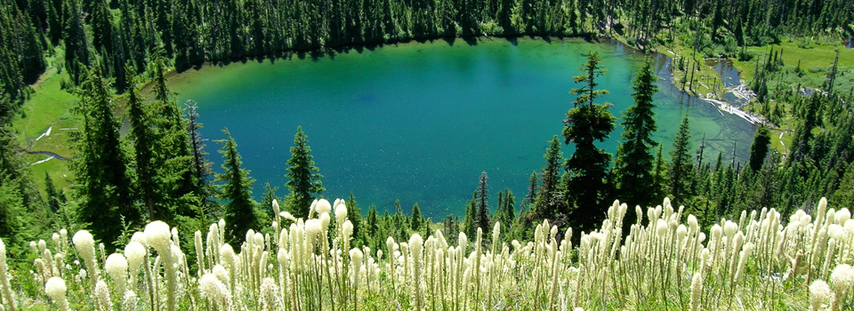 Oregon Coast and The Pacific Crest Trail Oregon Coast and The Pacific Crest Trail