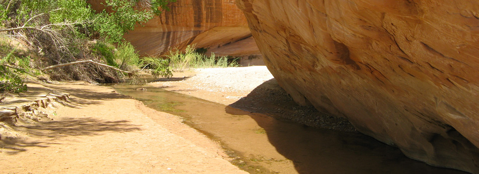 Harris Wash, Escalante, May 2008 Harris Wash, Escalante, May 2008