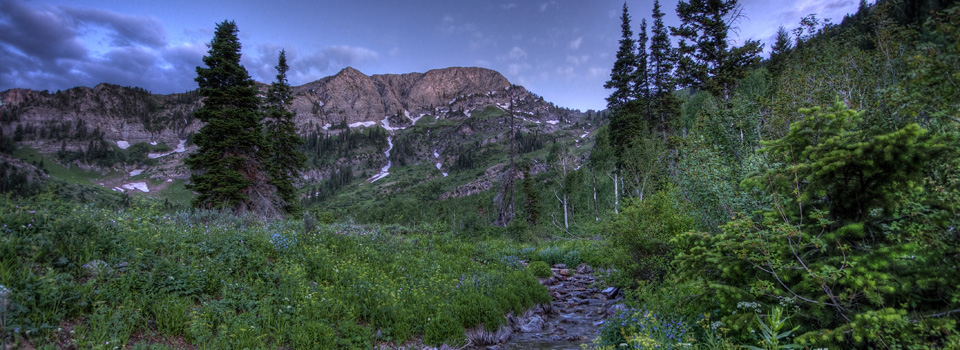 High Creek, Mt Naomi Wilderness, July 2010 High Creek, Mt Naomi Wilderness, July 2010