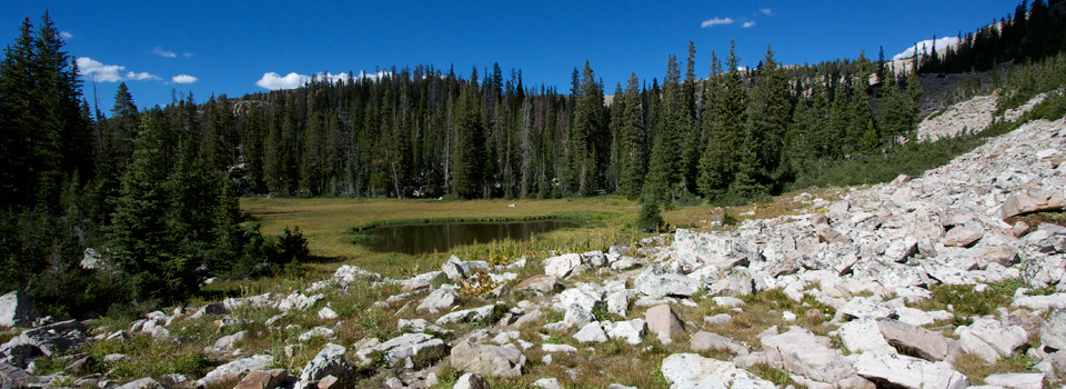 Cuberant Basin, Uintas, September 2010 Cuberant Basin, Uintas, September 2010