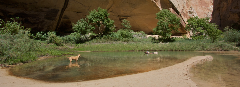 Death Hollow+Escalante River, September 2010 Death Hollow+Escalante River, September 2010