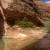 Fortymile and Willow Gulch, May 2011