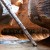 The Subway via Russell Gulch, Zion, October 2011 The Subway via Russell Gulch, Zion, October 2011