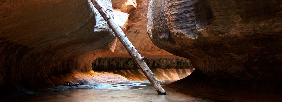 The Subway via Russell Gulch, Zion, October 2011 The Subway via Russell Gulch, Zion, October 2011