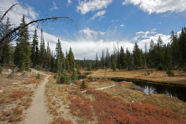 Fall in the Uintas