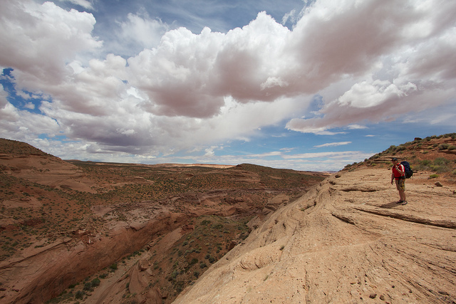 Above Fortymile Gulch