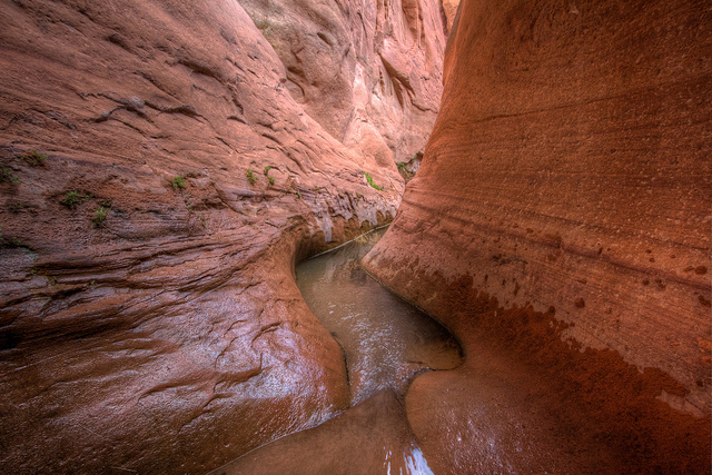 Fortymile Gulch
