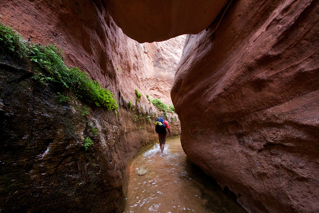 Taylor in Fortymile Gulch