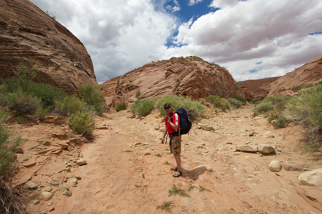Sooner Gulch - Fortymile Gulch Confluence