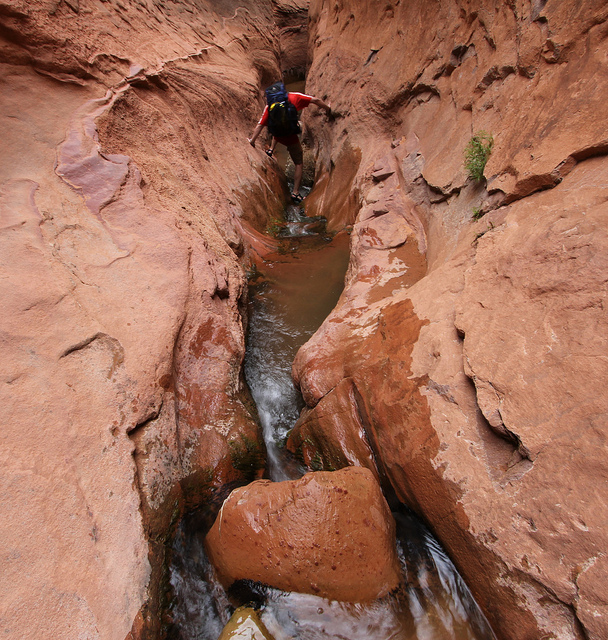 Taylor in Fortymile Gulch