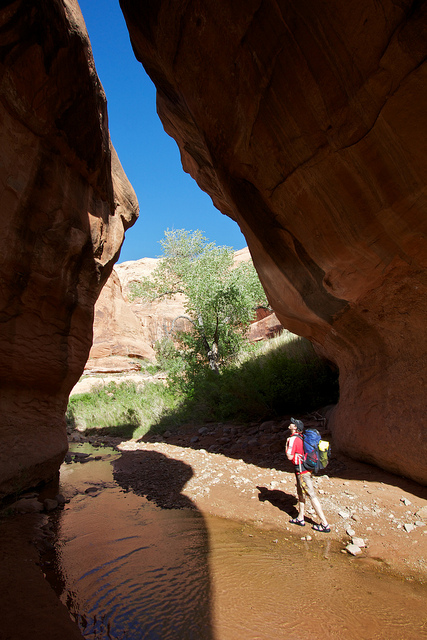 Taylor in Willow Gulch