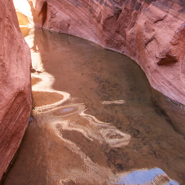 Walking Willow Gulch