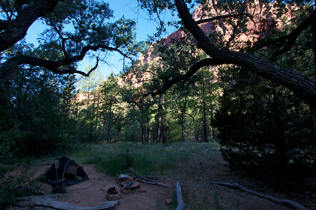 Morning in Camp #9