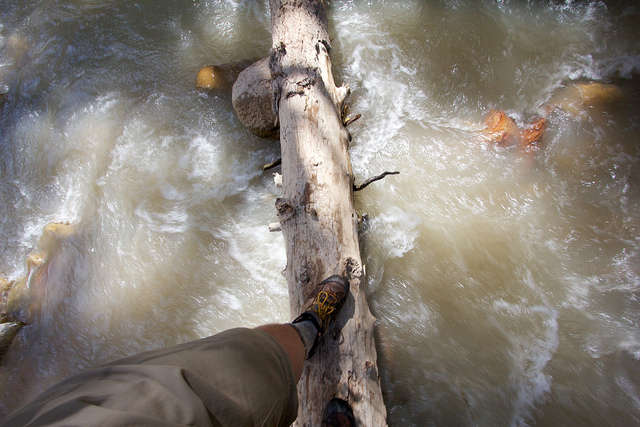 Log