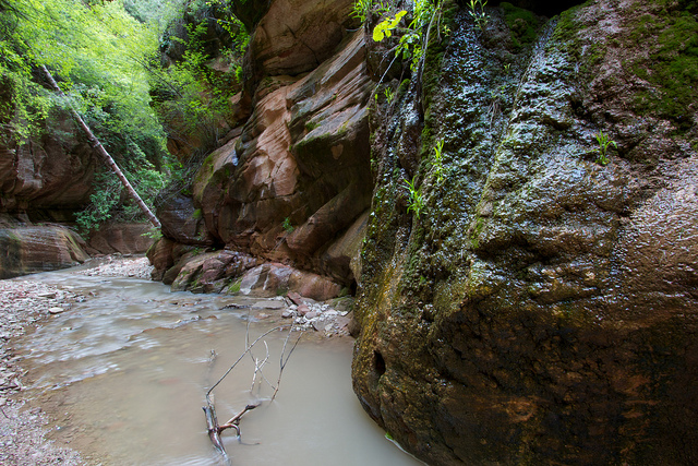 Bear Trap Canyon