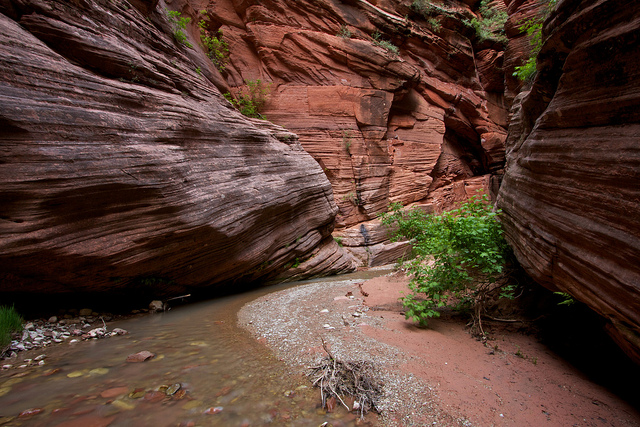 Bear Trap Canyon