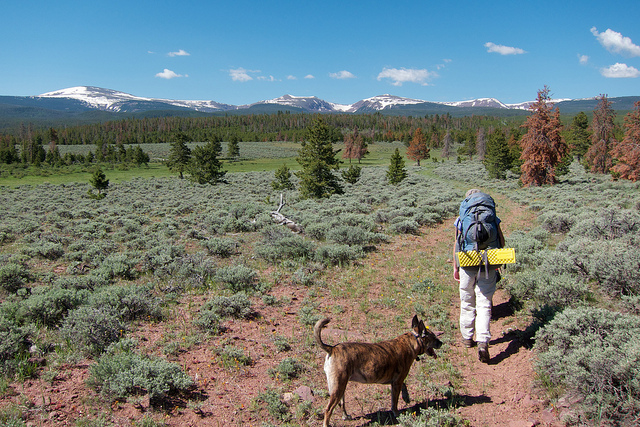 The Eastern Uintas