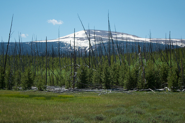 Leidy Peak