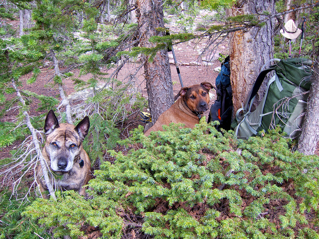 Shelter from the storm