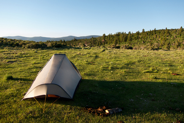 Morning on Windy Ridge