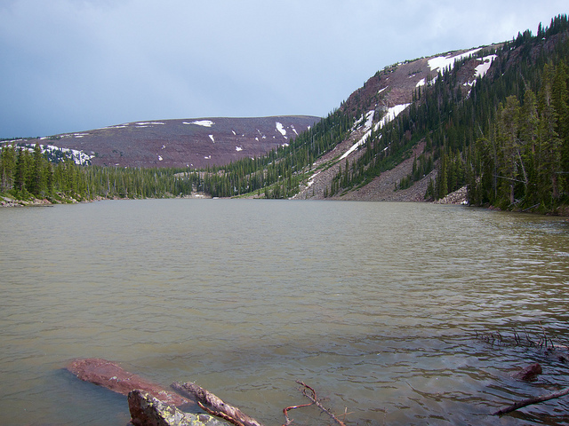Potter Lake