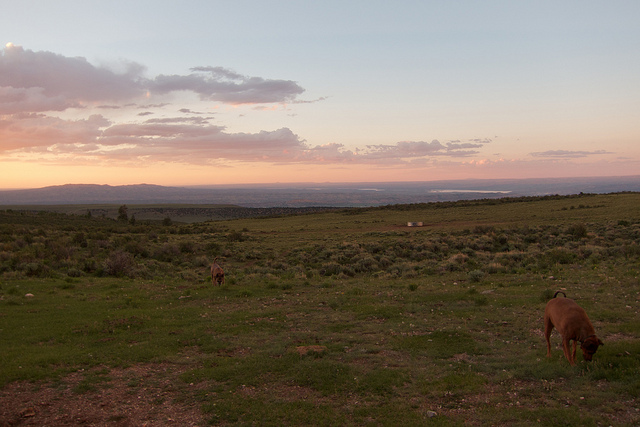The view from camp