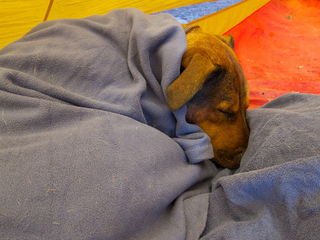 Sleeping off the storm