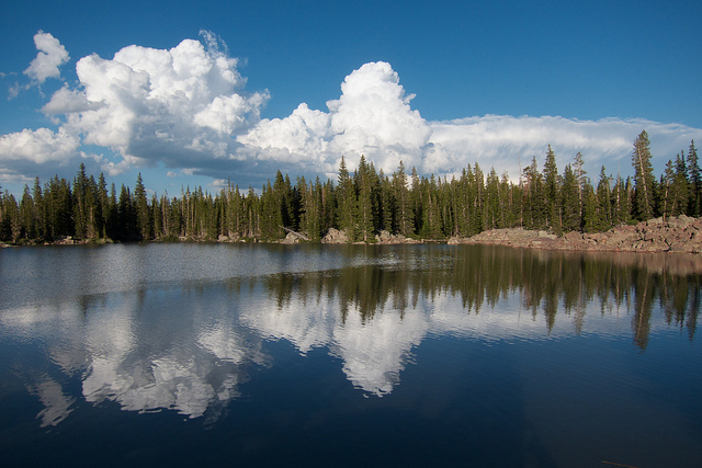 Lower Potter Lake