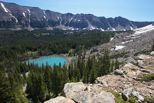 Lake BR-24