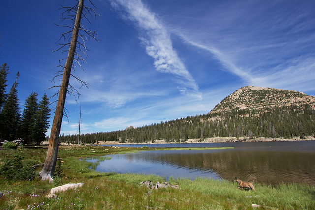 Long Lake