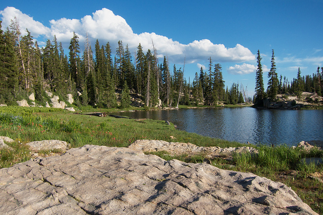 Island Lake