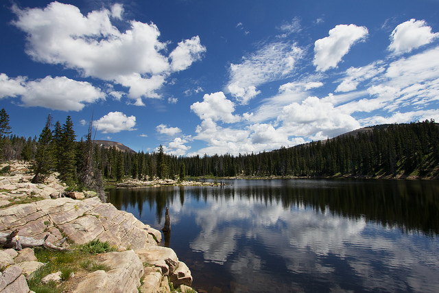 Weir Lake