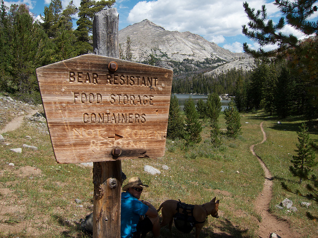 Bear Boxes at Big Sandy