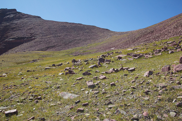 The pass