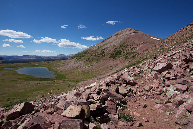 Old Sheep Trail