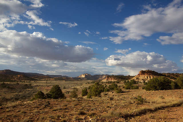 Rod's Canyon