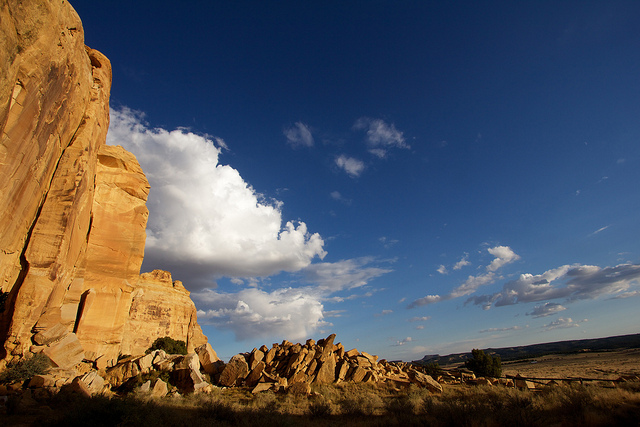 Head of Sinbad