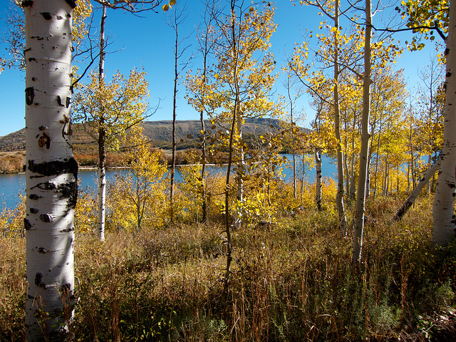 Kolob Reservoir