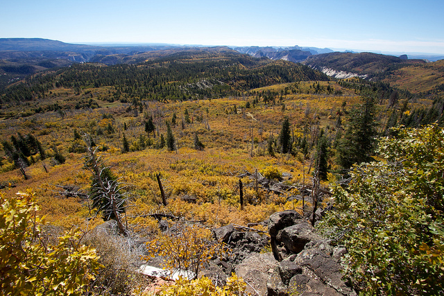 Lava Point
