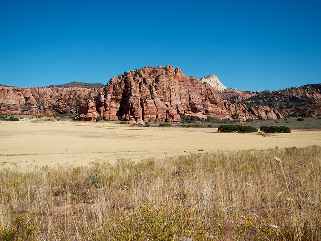 Along the Kolob Terrace Road