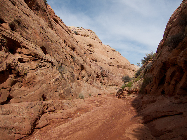 Blue John Canyon | Backcountry Post