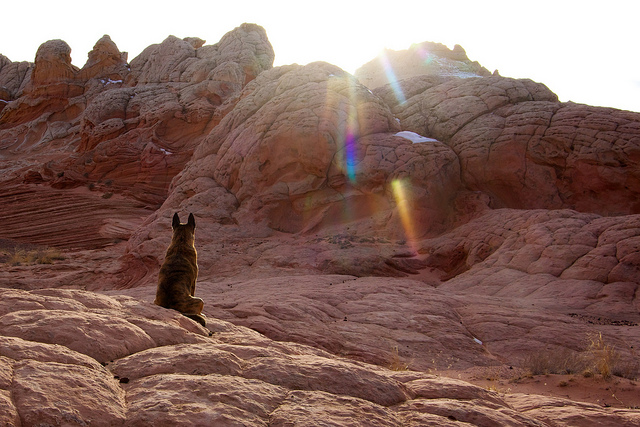 Nikita and The Sun