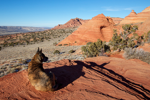 Nikita taking in the view