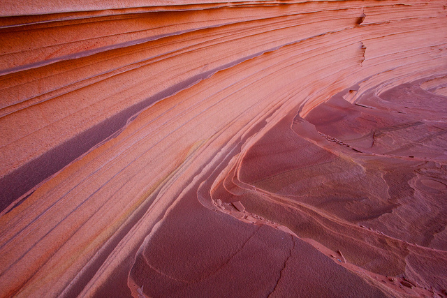Inside Hollow Teepee