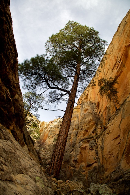 sand-creek-escalante-3