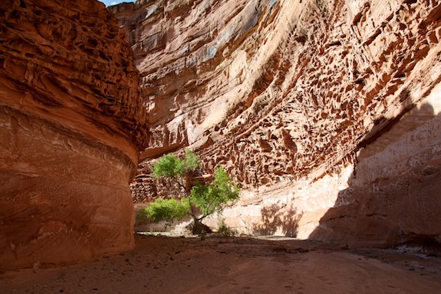 chimney-canyon-blog-2