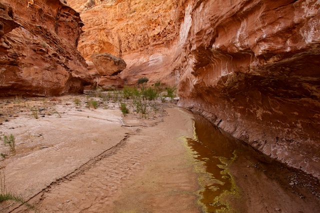 chimney-canyon-blog-6